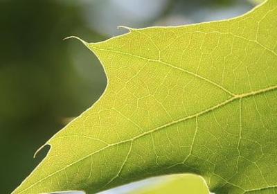 搬新家的祝福句子(精选50句) 搬新家的祝福句子(精选50句)