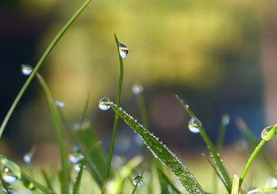 搏击激励人的好句子(优选50句) 搏击激励人的好句子(优选50句)