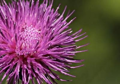 描绘父女情深的短句子(精选50句) 描绘父女情深的短句子(精选50句)