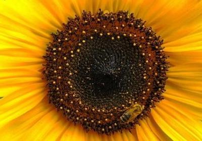 摩天轮简短句子(精选50句) 摩天轮简短句子(精选50句)