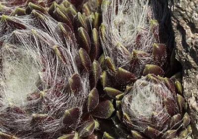 描述城市夜景的句子(推荐50句) 描述城市夜景的句子(推荐50句)