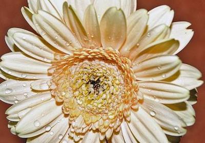 提醒自己闭嘴的句子(汇总30句) 提醒自己闭嘴的句子(汇总30句)