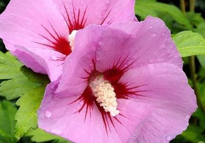 描述游泳的句子(推荐10句) 描述游泳的句子(推荐10句)