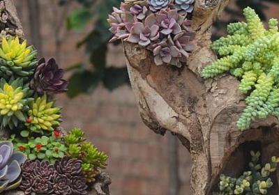 描述坚持的句子(精选50句) 描述坚持的句子(精选50句)