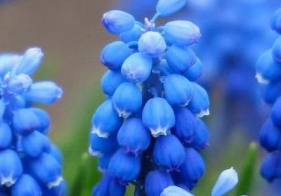 搞笑自嘲自讽的短句子(热门20句) 搞笑自嘲自讽的短句子(热门20句)