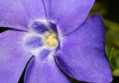 描写面条美味的句子(必备20句) 描写面条美味的句子(必备20句)