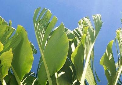 描写迪士尼乐园的句子(合集10句) 描写迪士尼乐园的句子(合集10句)