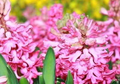 撑起一片天的句子(合集50句) 撑起一片天的句子(合集50句)