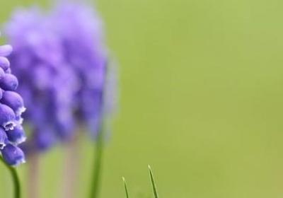 描述九月的句子(汇总53句) 描述九月的句子(汇总53句)