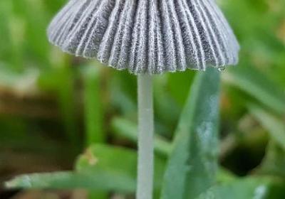 摘抄母爱的句子(通用40句) 摘抄母爱的句子(通用40句)