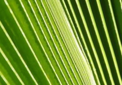 时间都去哪儿了的句子(精选10句)