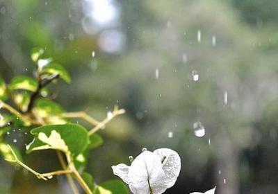 撸起袖子的句子(优选50句)