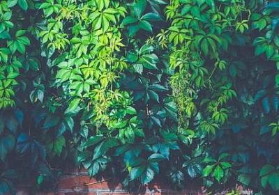 暖心的话对朋友短句(必备50句)
