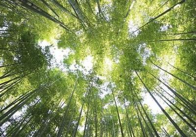 朋友久了就淡了句子(50句) 朋友久了就淡了句子(50句)