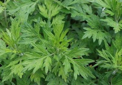 朋友变成恋人的句子(汇总40句) 朋友变成恋人的句子(汇总40句)