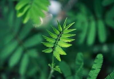 朋友圈励志短句(通用10句) 朋友圈励志短句(通用10句)