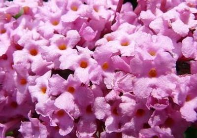 李荣浩歌词的经典句子(共20句)