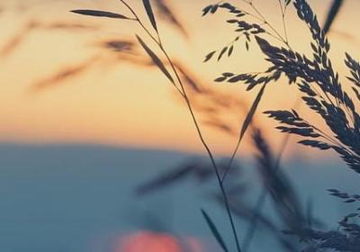 有创意的撩汉句子(必备50句)