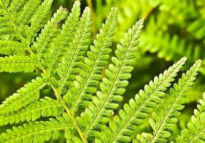 有关等人的句子(必备50句)