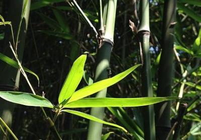 朋友靠不住的句子(优选50句)