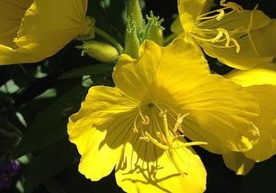 朋友圈感慨句子(实用45句)