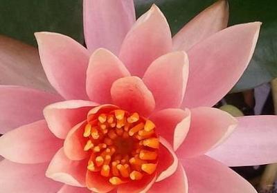 永不止步的句子(通用50句)
