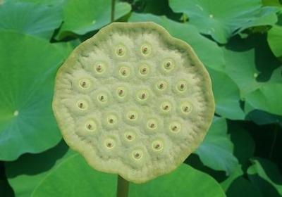 治愈系温柔短句(实用40句)