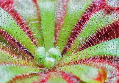比较潇洒的句子(汇总60句)