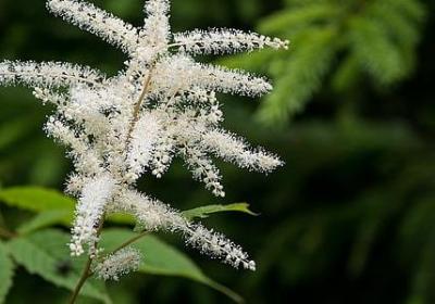 汉翻英在线翻译句子(通用40句)