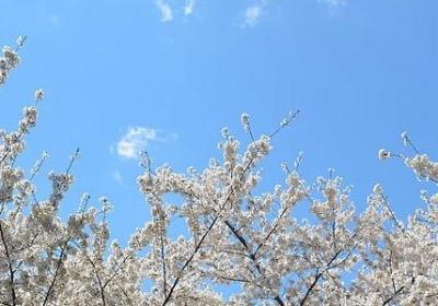 最难翻译的英语句子(热门20句)