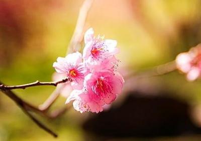 有三个连续动作的句子(热门10句)