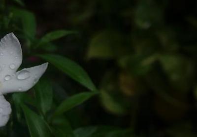 工作收获的好句子(推荐50句)