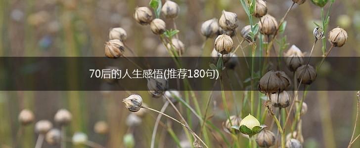 70后的人生感悟(推荐180句),第1张