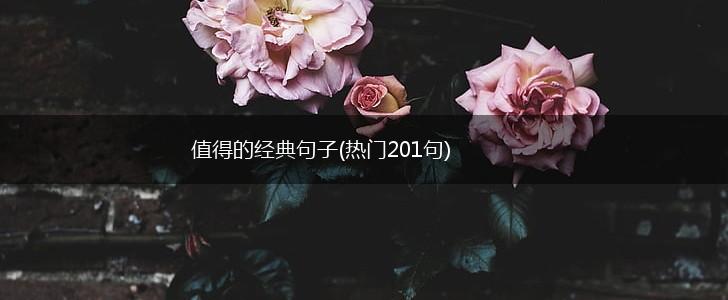 值得的经典句子(热门201句),第1张