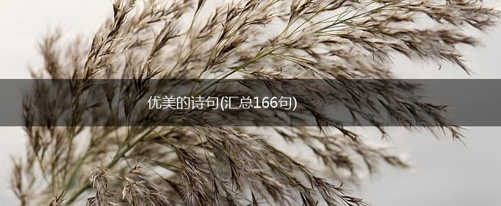 优美的诗句(汇总166句),第1张