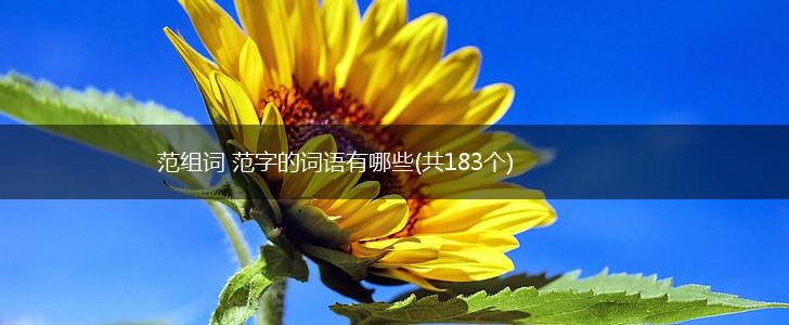 范组词 范字的词语有哪些(共183个),第1张