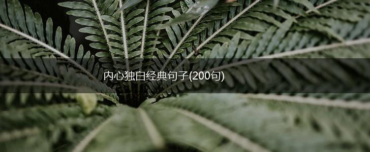 内心独白经典句子(200句),第1张