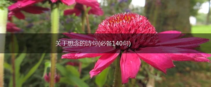 关于想念的诗句(必备140句),第1张