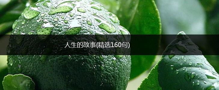 人生的故事(精选160句),第1张