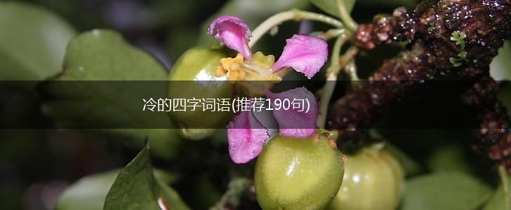 冷的四字词语(推荐190句),第1张