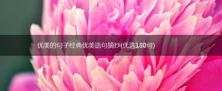 优美的句子经典优美语句摘抄(优选180句),第1张