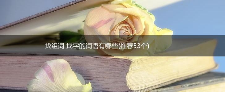 找组词 找字的词语有哪些(推荐53个),第1张
