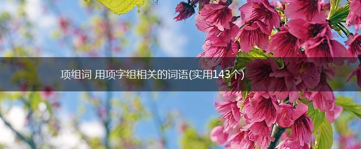 项组词 用项字组相关的词语(实用143个),第1张