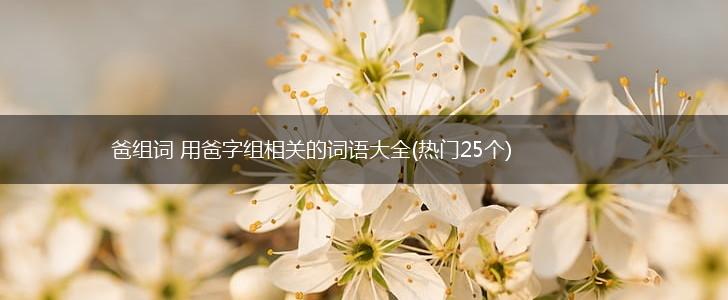 爸组词 用爸字组相关的词语大全(热门25个),第1张