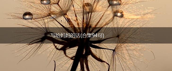 写给妈妈的话(合集94句),第1张