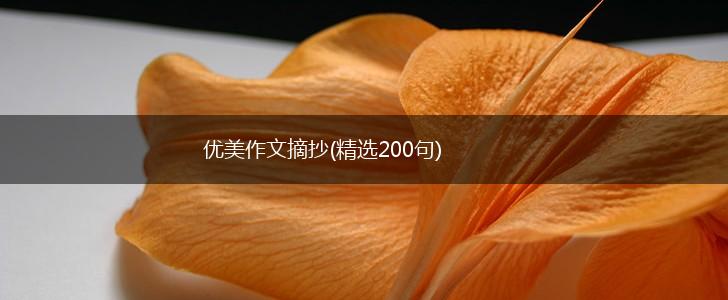 优美作文摘抄(精选200句),第1张