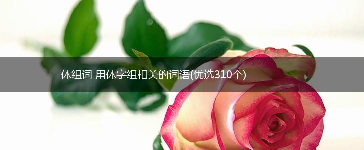 休组词 用休字组相关的词语(优选310个),第1张