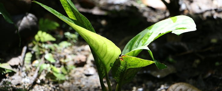 优美词句摘抄大全(必备210句),第3张
