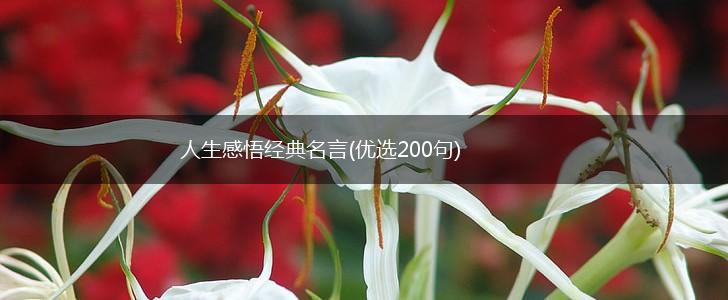 人生感悟经典名言(优选200句),第1张