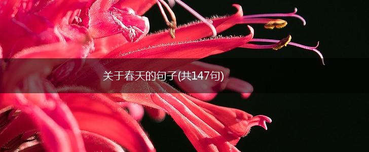 关于春天的句子(共147句),第1张
